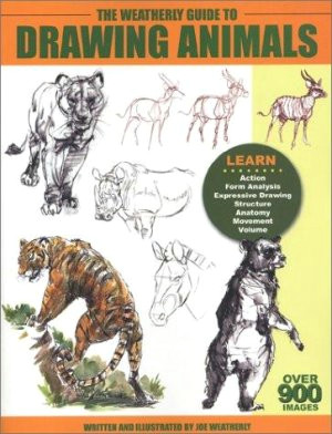 Weatherly Guide to Drawing Animals Pdf How to Draw Animals Step by Step Pdf