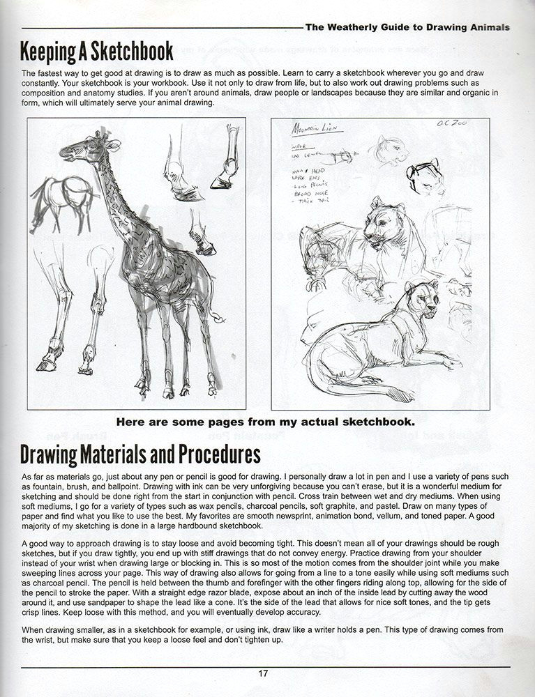 Weatherly Guide to Drawing Animals Pdf the Weatherly Guide to Drawing Animals