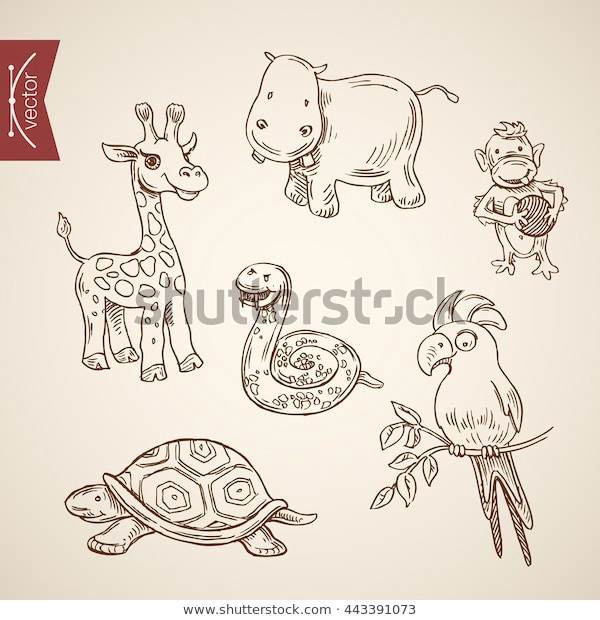 Weird Animal Drawings Wild Life Zoo Comic Friendly Funny Stock Vektorgrafik