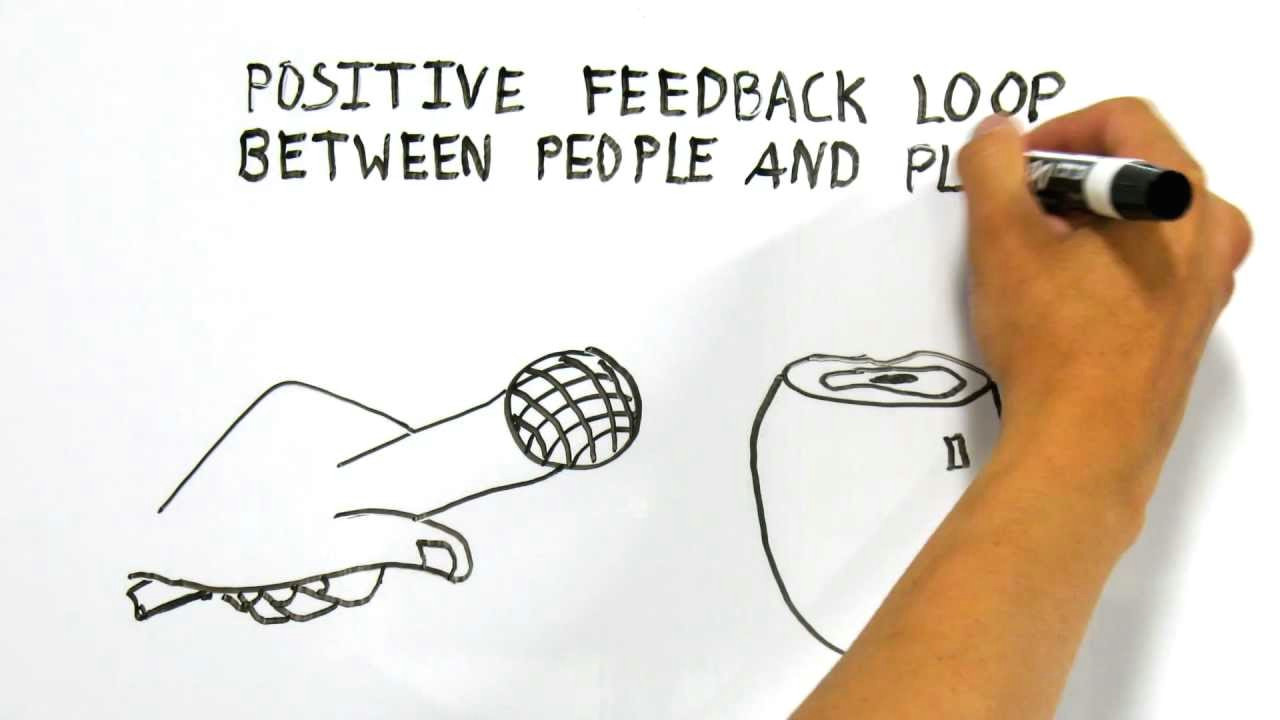 Whiteboard Hand Drawing Animation Whiteboard Animations Whiteboard Animated Videos