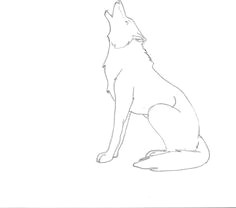 Wolf Howling Drawing Easy Step by Step 14 Best Wolf Howling at Moon Images Wolf Howling Wolf