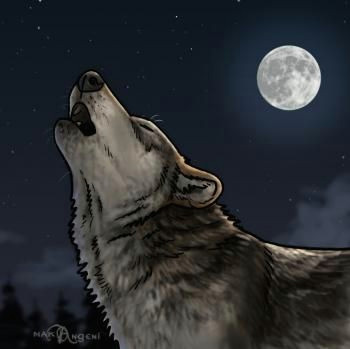 Wolf Howling Drawing Easy Step by Step How to Draw Howling Wolves Howling Wolf Step by Step