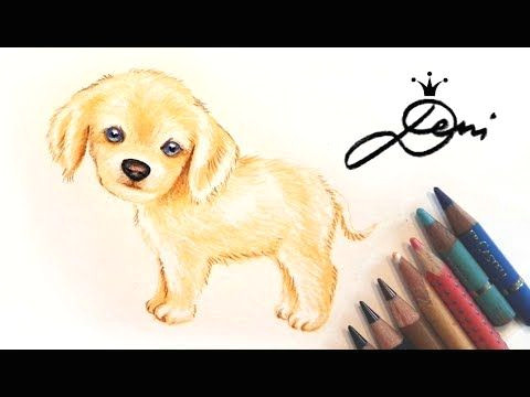Yorkie Drawing Easy Hund Zeichnen Cavalier King Charles Spaniel Welpe Malen Dog