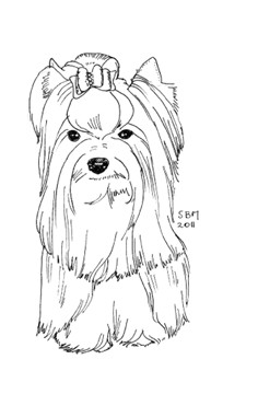 Yorkie Drawing Easy Yorkshire Terrier Coloring Pages Yorkie Coloring Pages