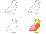 9 11 Drawing Easy How to Draw Puffin for Kids Step by Step Drawing Tutorial Draw