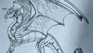 Amazing Drawings Of Dragons Rainwing Wings Of Fire In 2018 Pinterest Wings Of Fire Wings