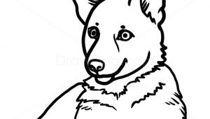Anime Dogs Drawing Step by Step Easy Step by Step Drawing Of A Dog How to Draw Puppy German Shepherd