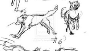 Best Drawing Of A Wolf 61 Best Wolf Images Wolves Drawing Ideas Drawings