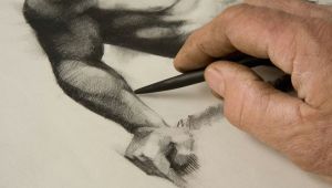 Cartoon Drawing Lessons Near Me Free Online Drawing and Sketching Classes