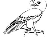 Cartoon Drawing Pad Eagle Cartoon Drawing In 4 Steps with Photoshop D D N N N soft Cute