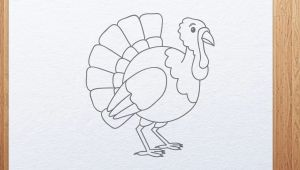 Cartoon Drawing Program How to Draw A Cartoon Turkey Thanksgiving Day Kids Art Hub