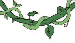 Cartoon Vines Drawing Draw A Jungle Vine Leaves and Vines Drawings Vine Drawing Vines