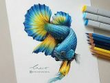 Colored Pencil Animal Drawings Bright Coloured Fish with A Black Background Using Marker