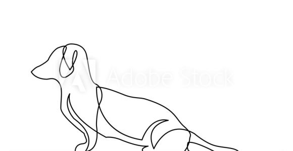 Continuous Line Drawing Of A Dog Fotografija Continuous Line Drawing Of Dachshund Dog Na Europosterji Si