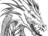 Cool Drawing Of Dragons 968 Best Dragon Drawings Images Mandalas Coloring Books
