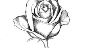 Cool Drawings Of A Rose How to Draw A Rose Drawing Lettering Drawings Art Drawings
