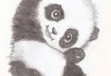 Cute Drawing Hd Image How to Draw A Panda How to Draw Drawings Cute Drawings Animal