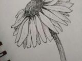 Daisy Drawing Tumblr 66 Best Pen Ink Drawings Images In 2019 Flower Designs Drawings