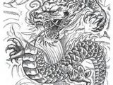 Detailed Drawings Of Dragons 101 Best Dragons Images Drawings Dragon Art Chinese Dragon Tattoos