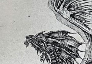 Detailed Drawings Of Dragons 675 Best Dragons In Black and White Mostly Images Dragon