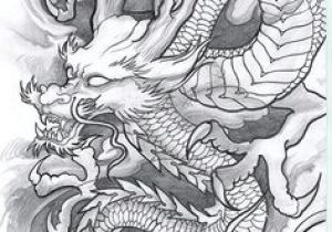 Detailed Drawings Of Dragons 995 Best asian Dragons Images In 2019 Japanese Tattoos Japanese