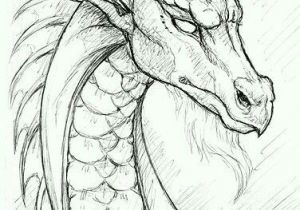 Detailed Drawings Of Dragons Dragon Pencil Drawing Art Drawings Pencil Drawings Dragon Sketch