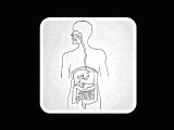 Digestive System Drawing Easy How to Draw Human Digestive System A A A A A A A A Aa A A Aa A A A A A A A