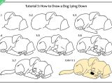 Dog Drawing Easy Step by Step Step by Step Guide On How to Draw A Dog for Kids Dog