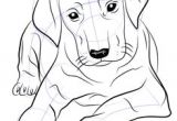 Dog Drawing Realistic Easy Dog Drawings In Pencil Easy for Kids Sketch Coloring Page Drawing
