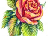 Draw A Purple Rose 25 Beautiful Rose Drawings and Paintings for Your Inspiration