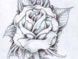 Draw A Purple Rose Black Rose Arm Tattoos for Women Rose and Its Leaves Drawing