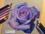 Draw A Purple Rose Easy Way to Draw A Rose 50 Beautiful Color Pencil Drawings From top