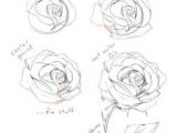 Draw A Rose Blooming 864 Best Flower Drawing Images In 2019 Drawing Flowers Flower