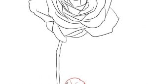Draw A Rose Garden How to Draw A Rose Simple Step by Step Doodle All Day Every Day