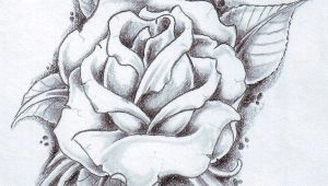 Draw A Rose with Leaves Black Rose Arm Tattoos for Women Rose and Its Leaves Drawing