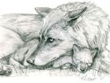 Draw Wolf Laying Down 180 Best Wolf Drawings Images Drawing Techniques Drawing