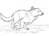 Draw Wolf Sketch when You Run Make Sure You Run to something and Not Away From