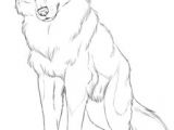 Draw Wolf Standing 109 Best Wolf Images Wolf Drawings Art Drawings Draw Animals