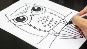Drawing 1 Hour A Day How to Draw An Owl Youtube