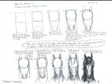 Drawing 3 4 View How to Draw A Horse Head Front View by A N 0 N Y M O U S On