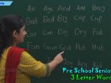 Drawing 5 Letter Word 3 Letter Words Three Letter Phonics Words Sight Words Pre