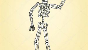 Drawing A Cartoon Skeleton Cartoon Skeleton Stock Vector A C Sumetho 51503827