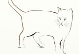 Drawing A Cat Quickly How to Draw and Sketch Cats