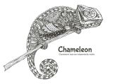 Drawing A Chameleon Eye Chameleon Doodling Pinterest Chameleons