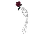 Drawing A Dead Rose Pin by Zayynab A On Collection Drawings Art Art Drawings