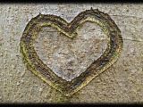 Drawing A Heart On the Sand Concrete Filler with A Finger Drawn Heart Shape It Reminds Me Of