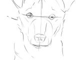 Drawing A Realistic Dog Face How to Draw A Dog From A Photograph