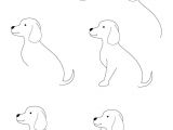 Drawing A Realistic Dog Face How to Draw A Puppy Learn How to Draw A Puppy with Simple Step by
