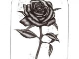 Drawing A Rose with Pen Rose Drawings Rose Pen Drawing with Glass by Blood Huntress On