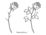 Drawing A Rose Youtube 163 Best How to Draw Rose Images Drawings Drawing Flowers How to